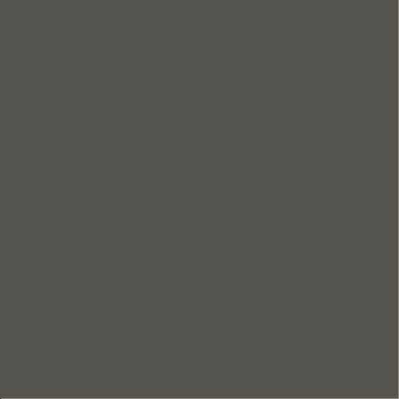 6007-ST-P 640 - Slate Silk - 4' x 8'